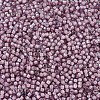 MIYUKI Delica Beads X-SEED-J020-DB1791-3