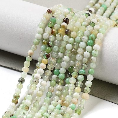 Natural Serpentine Beads Strands G-G161-D24-01-1