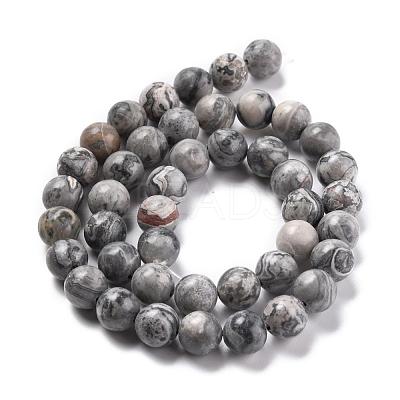 Natural Map Stone/Picasso Stone/Picasso Jasper Bead Strands G-D840-60-8mm-1