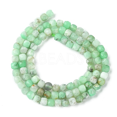 Natural Chrysoprase Beads Strands G-F748-F01-01B-1
