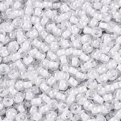 FGB Glass Seed Beads SEED-Q040-08A-01-1