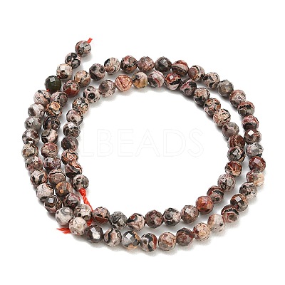 Natural Leopard Skin Jasper Beads Strands GG-CBA3921-A02-4mm-1