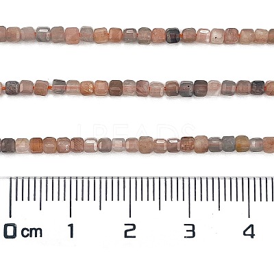 Natural Multi-Moonstone Beads Strands G-L587-C05-02-1