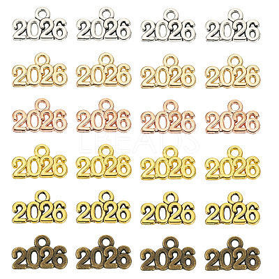 120Pcs 6 Colors Alloy Pendants FIND-TA0006-34-1