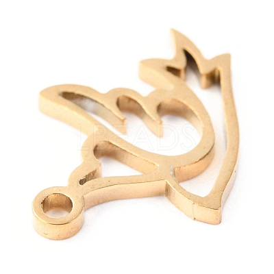 304 Stainless Steel Charms STAS-O142-19G-1