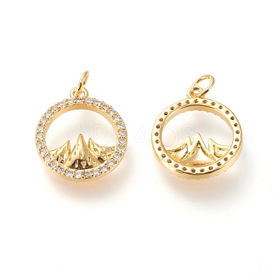 Brass Micro Pave Clear Cubic Zirconia Charms ZIRC-L098-025G-1
