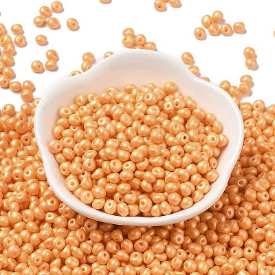 6/0 Glass Seed Beads X1-SEED-L011-08A-19-1