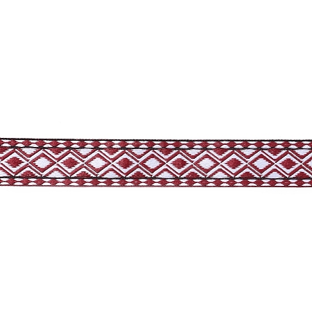 Ethnic Style Embroidery Polyester Ribbons SRIB-XCP0001-18-1