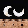 Natural Freshwater Shell Cabochons SHEL-S267-04B-4