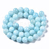 Natural Dyed Yellow Jade Gemstone Bead Strands G-R271-10mm-Y04-3