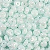 Opaque Colours Luster Glass Seed Beads SEED-P008-01C-04-2