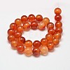 Round Natural Red Agate Bead Strands G-M257-12mm-26-2