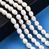Natural Cultured Freshwater Pearl Beads Strands PEAR-N012-05K-2