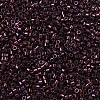 MIYUKI Delica Beads Small SEED-X0054-DBS0012-3