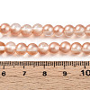 Baking Paint Transparent Glass Beads Strands DGLA-N011-6mm-04-4