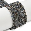 Natural Kyanite Beads Strands G-Z104-B01-4mm-B-01-2