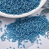 MIYUKI Delica Beads X-SEED-J020-DB1709-1