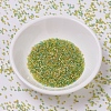 MIYUKI Delica Beads X-SEED-J020-DB0983-2