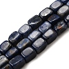 Natural Sodalite Beads Strands G-F791-C04-2