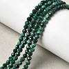 Natural Malachite Beads Strands G-H336-A07-02-1