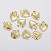 304 Stainless Steel Charms STAS-F160-31G-1