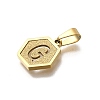 304 Stainless Steel Charms LS-STAS-H227-01G-G-2