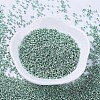 MIYUKI Delica Beads SEED-X0054-DB0415-2