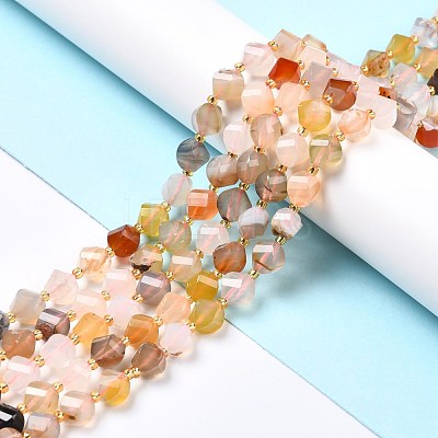 Natural Agate Beads Strands G-L579-01-1
