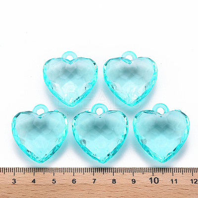 Transparent Acrylic Pendants TACR-T024-03B-946-1