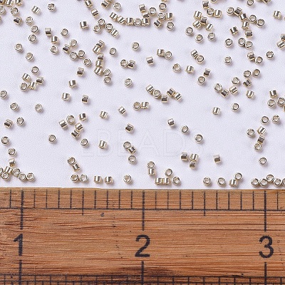 MIYUKI Delica Beads X-SEED-J020-DB0433-1