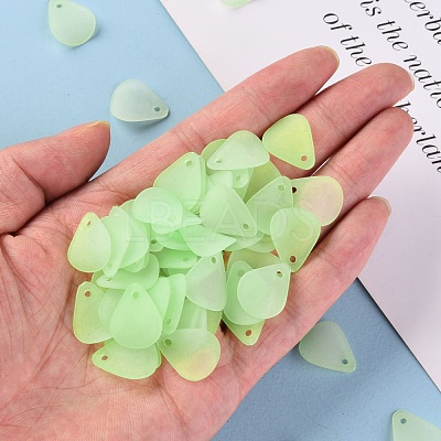 Transparent Frosted Acrylic Pendants MACR-S371-09A-728-1
