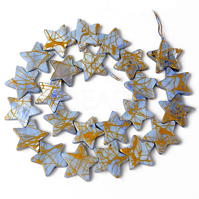 Natural Freshwater Shell Beads Strands SHEL-N026-91F-1