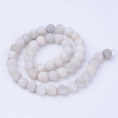 Natural Agate Beads Strands G-Q462-10mm-09-1