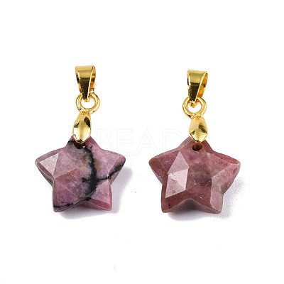 Natural Rhodonite Charms G-N326-142-05-1