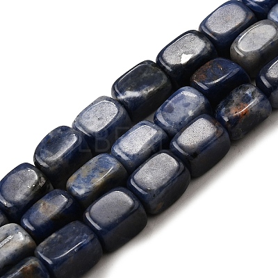 Natural Sodalite Beads Strands G-F791-C04-1