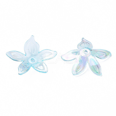 Transparent Acrylic Beads MACR-S373-102-C05-1