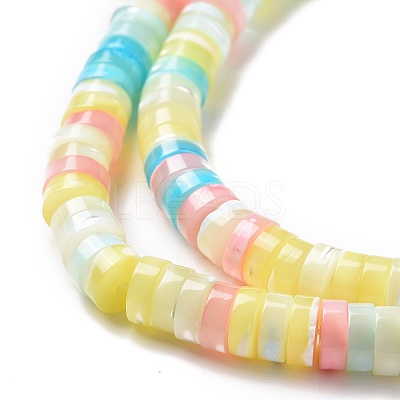 Natural Trochid Shell Beads Strands SSHEL-G023-02B-01-1