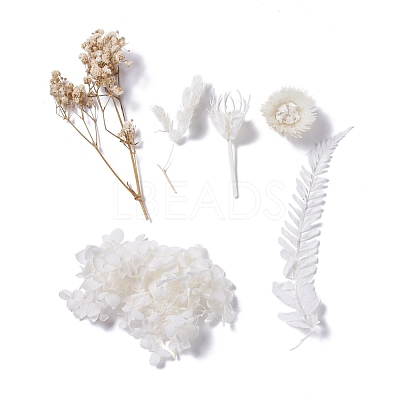 Dried Flowers DIY-D052-04-1
