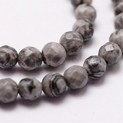 Natural Map Stone/Picasso Stone/Picasso Jasper Beads Strands G-D840-35-4mm-1