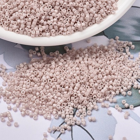 MIYUKI Delica Beads X-SEED-J020-DB1495-1