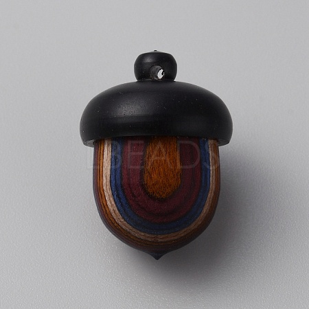 Wooden Acorn Box Jewelry Pendants WOOD-WH0024-152-1