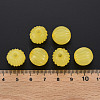 Imitation Jelly Acrylic Beads MACR-S373-11-E07-5