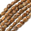 Natural Picture Jasper Beads Strands G-C286-A07-2