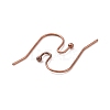 Brass Earring Hooks J0JQN-NFR-2
