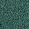 TOHO 11/0 Round Beads X-SEED-TR11-1833-2