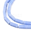 Synthetic Blue Lace Agate Beads Strands G-M401-B01-4