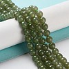 Natural Nephrite Jade Beads Strands G-NH0005-030C-2