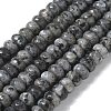 Faceted Natural Labradorite Rondelle Beads Strands G-K090-02-1