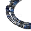 Natural Lapis Lazuli Beads Strands G-Z045-A11-01-4