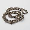 Natural Labradorite Chips Beads Strands X-F069-3